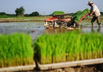 دسترنج بی‌سرانجام