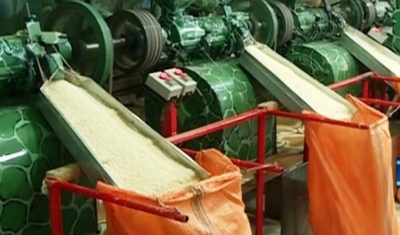 شالیکوبی؛ صنعتی که چشم‌انتظار حمایت است