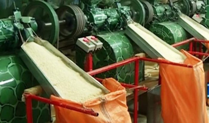 شالیکوبی؛ صنعتی که چشم‌انتظار حمایت است