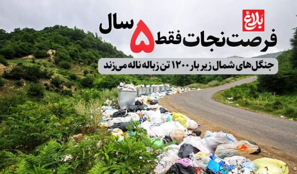 فرصت نجات فقط ۵ سال!