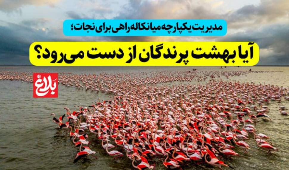 آیا بهشت پرندگان از دست می‌رود؟